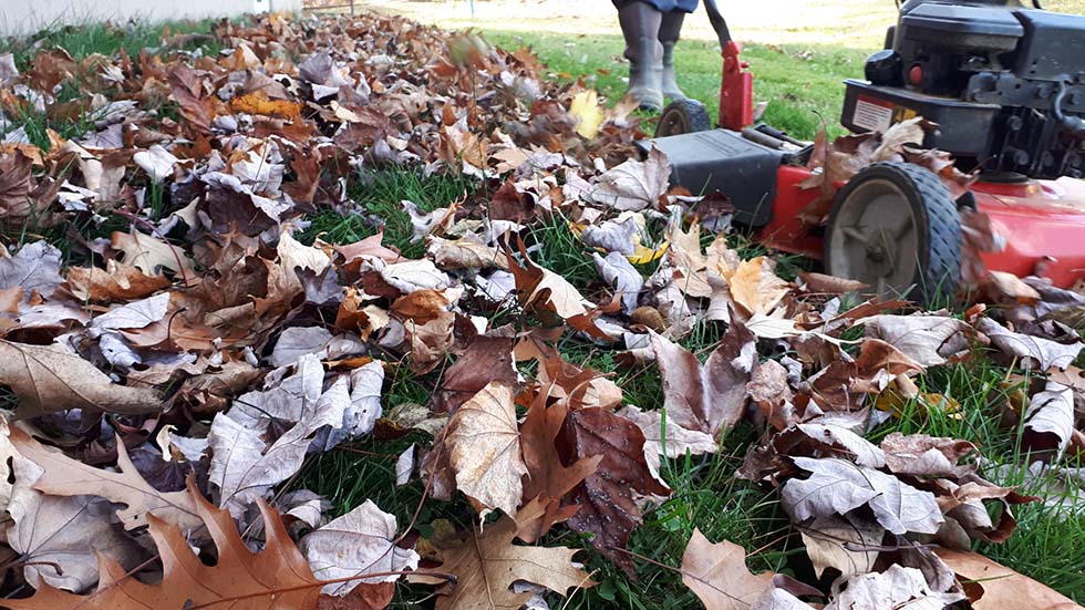Mowing Fall Leaves