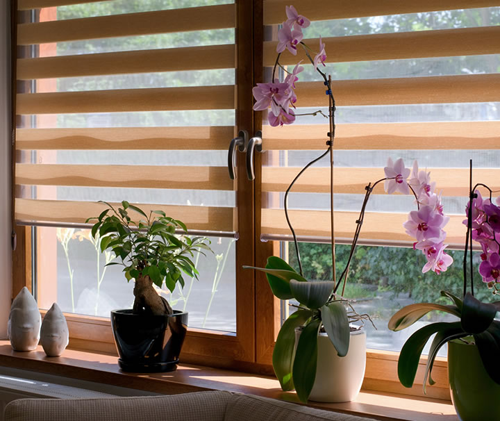 Shutters and Blinds